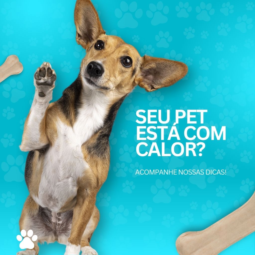 pet