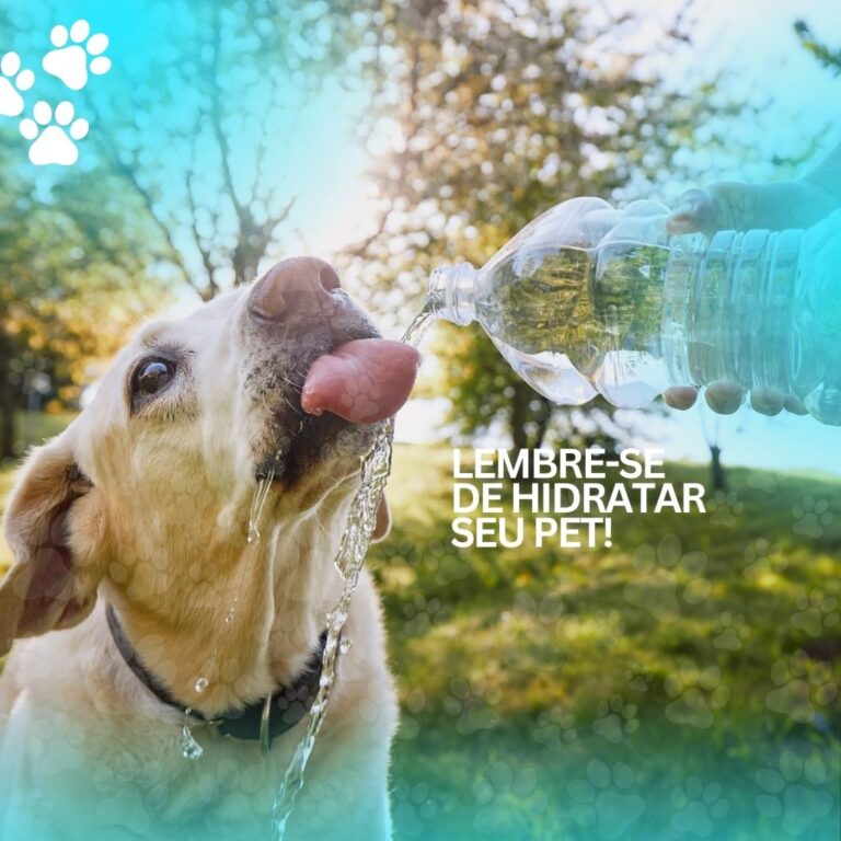 pet shop cg