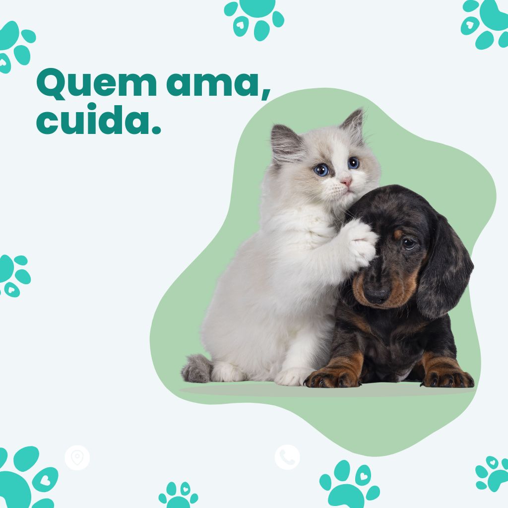 Pet Shop em Campo Grande MS