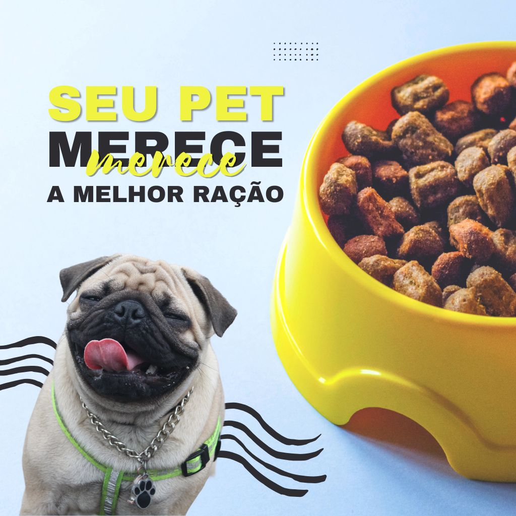 Pet Shop em Campo Grande MS