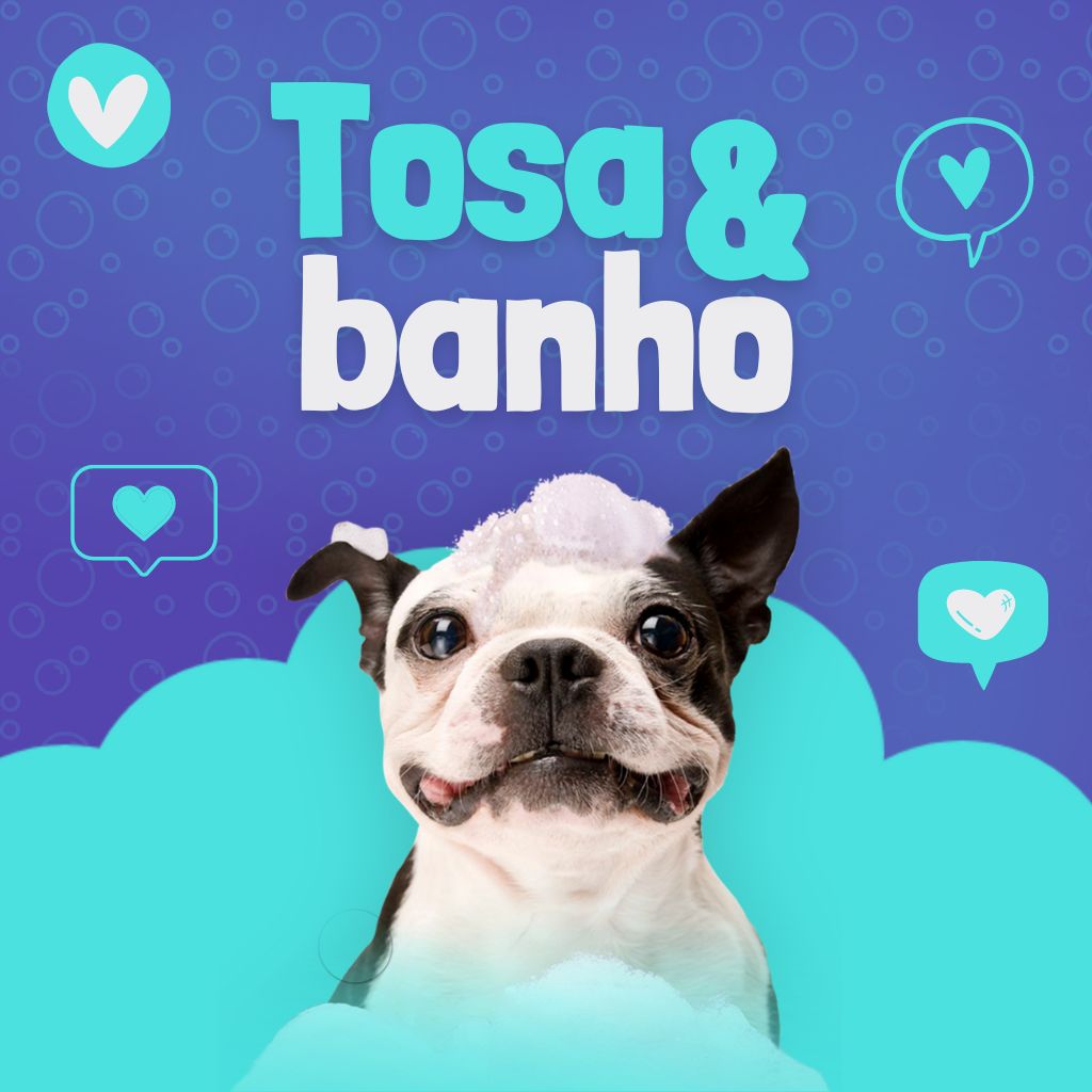 banho e tosa