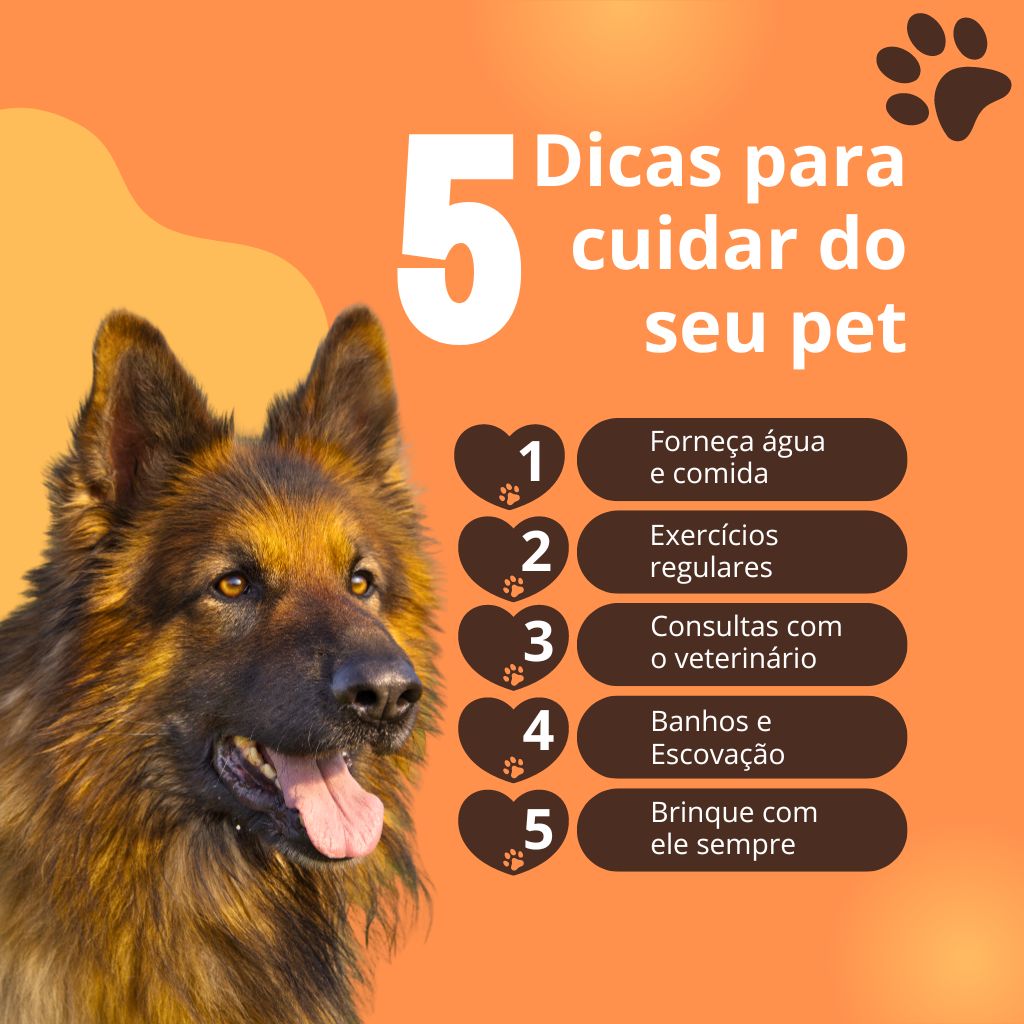 Pet Shop Campo Grande MS Perto de Mim