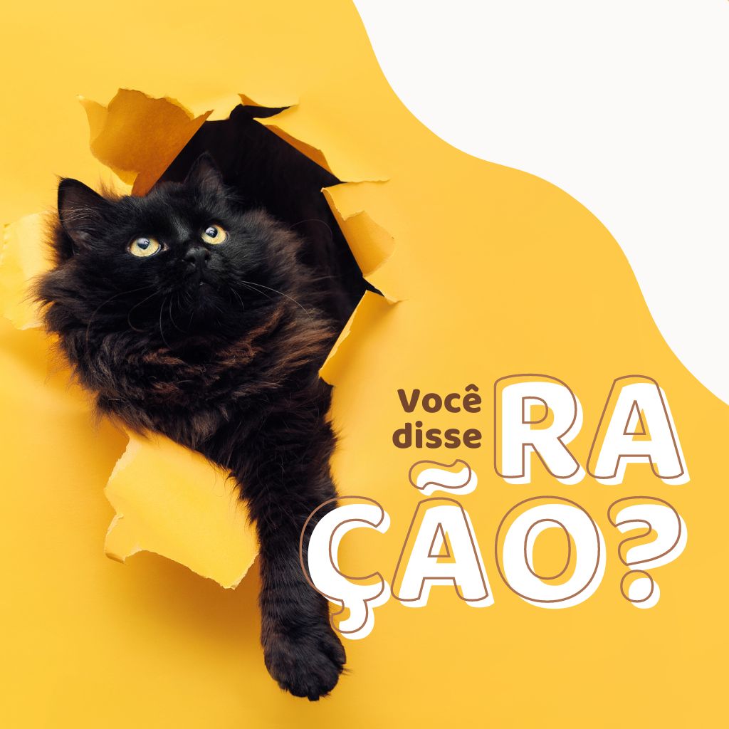 Pet Shop em Campo Grande MS