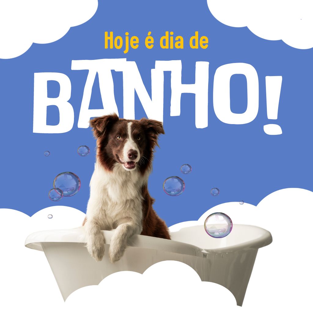 banho e tosa