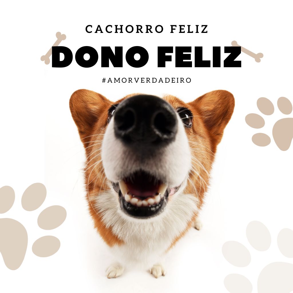 Pet Shop Campo Grande MS Perto de Mim