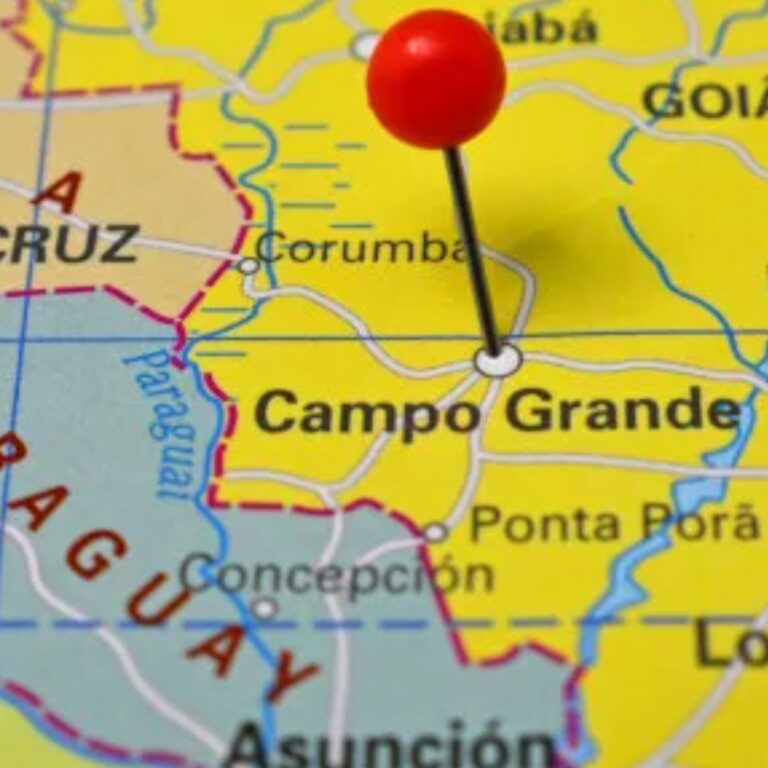 Pet Shop em Campo Grande