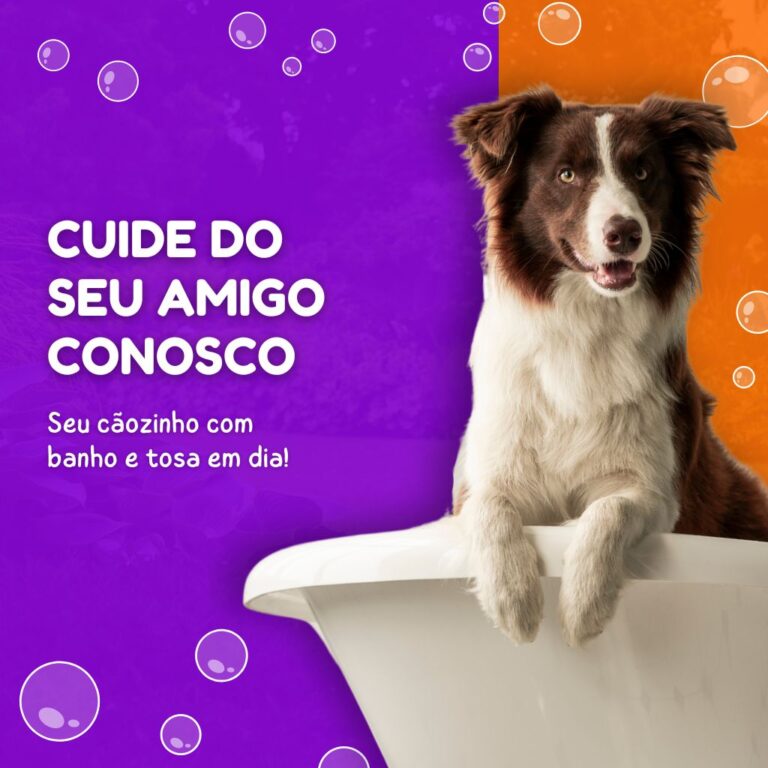 banho e tosa