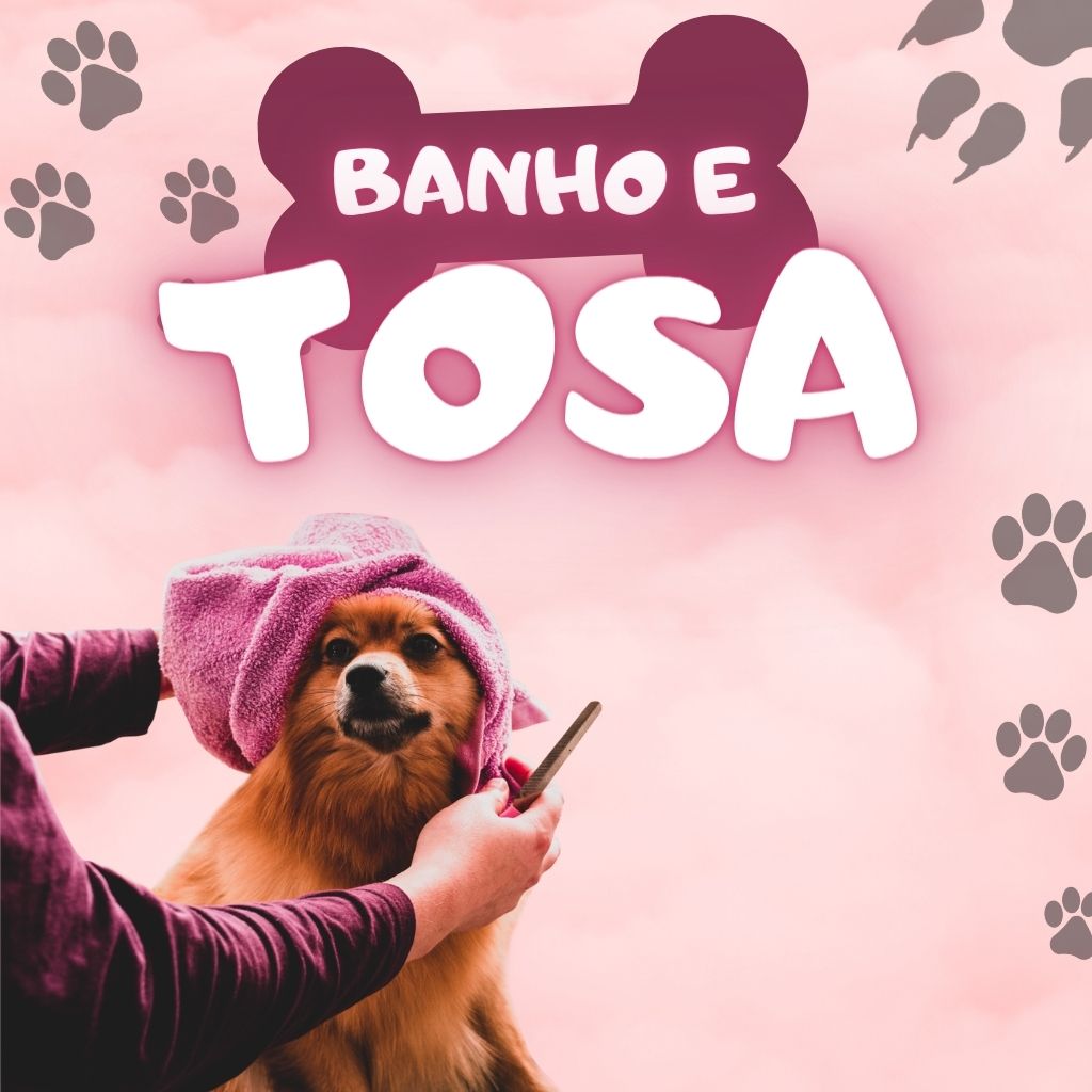 Pet Shop Campo Grande MS Perto de Mim
