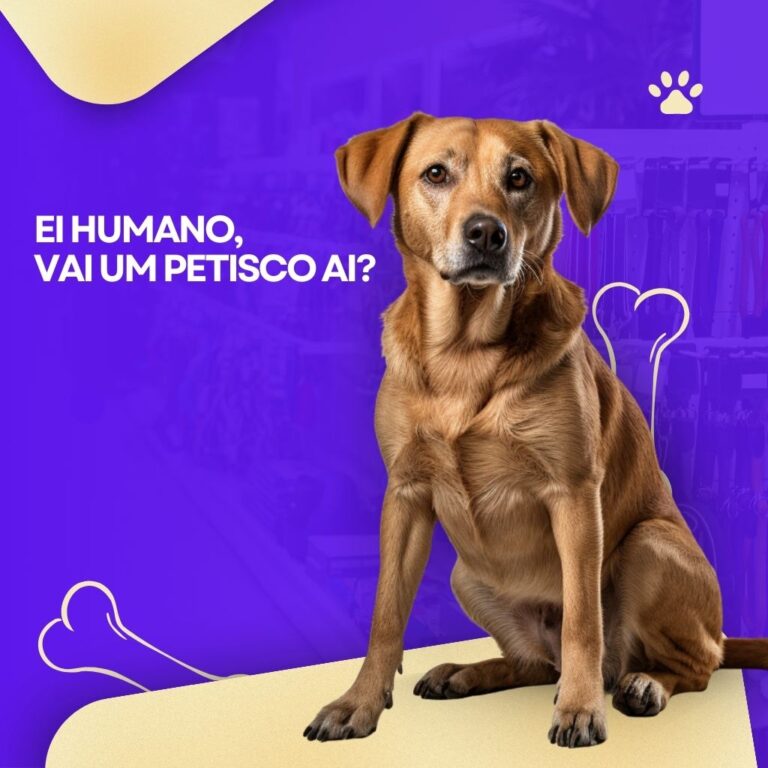 PETSHOP