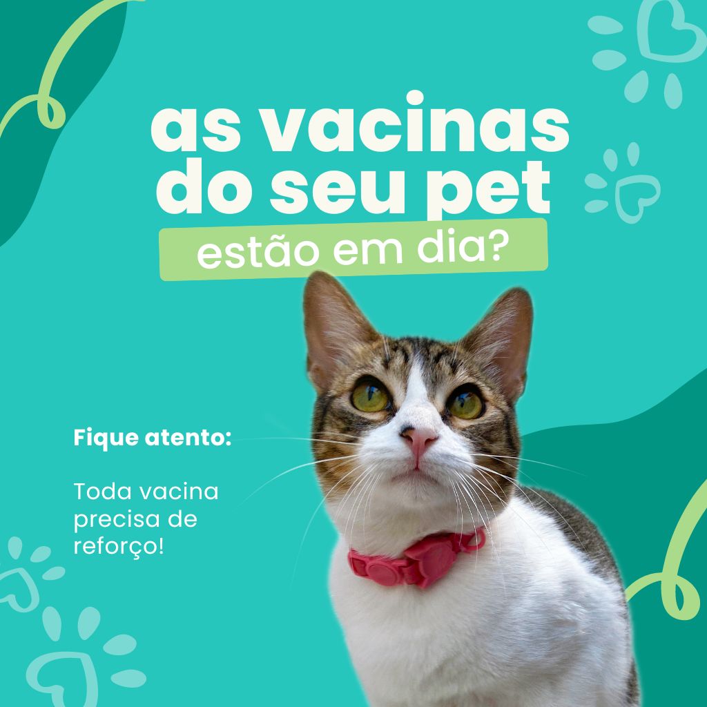 PET SHOP