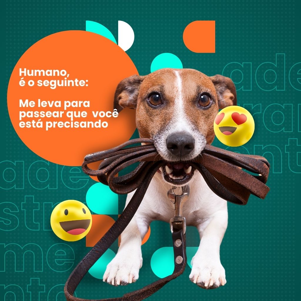 PET SHOP 