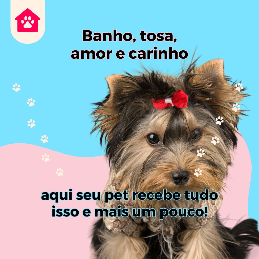 Petshop Banho e Tosa