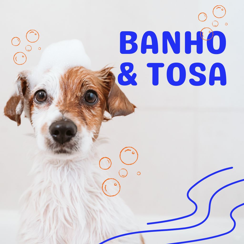 Petshop Banho e Tosa