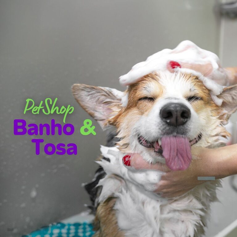 Petshop Banho e Tosa