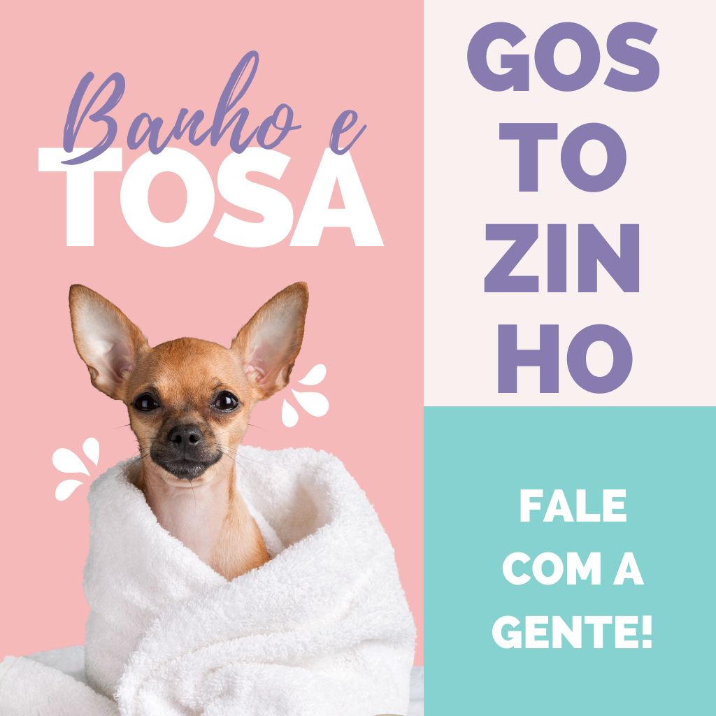 Banho e tosa Campo Grande