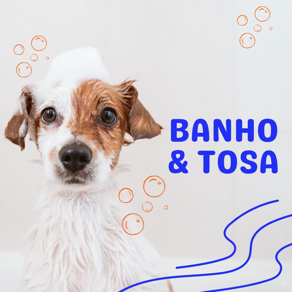 Banho e tosa Campo Grande