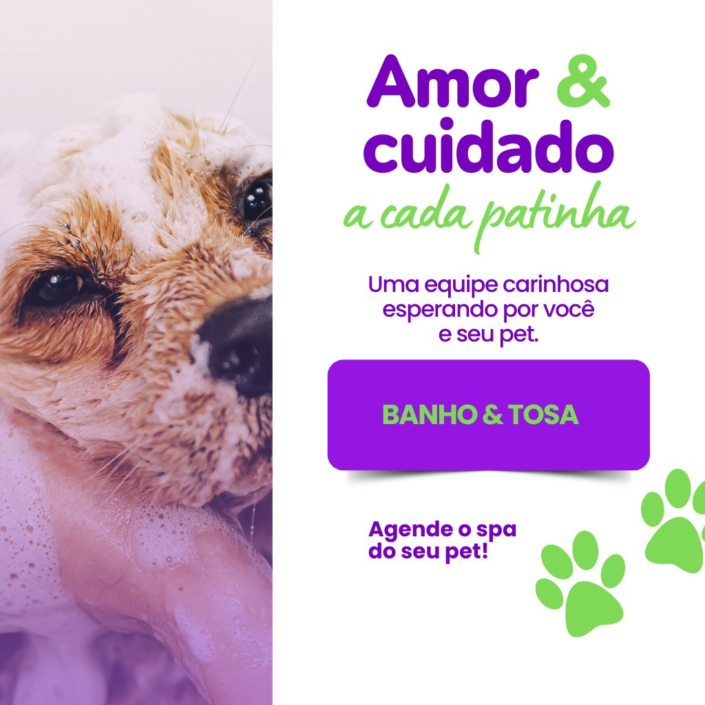 Banho e tosa Campo Grande