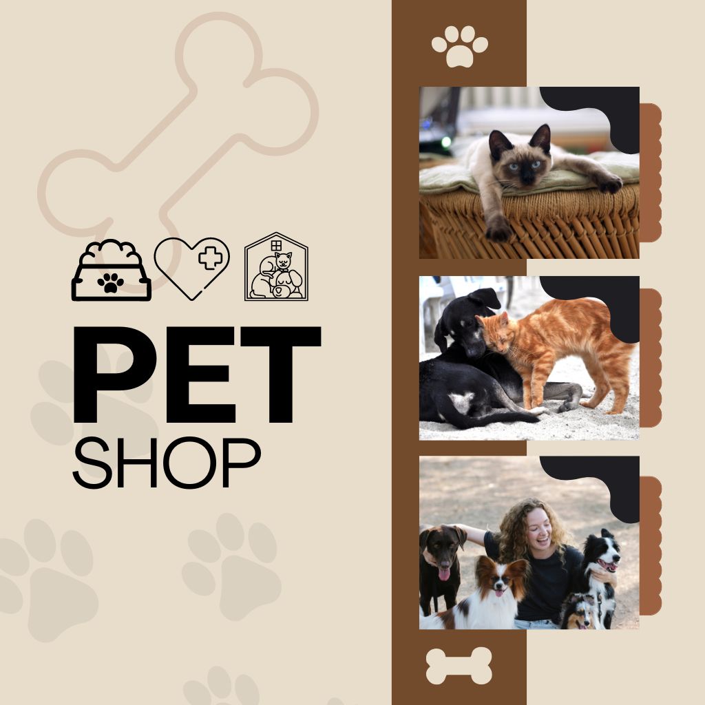 Pet Shop Mais Próximo