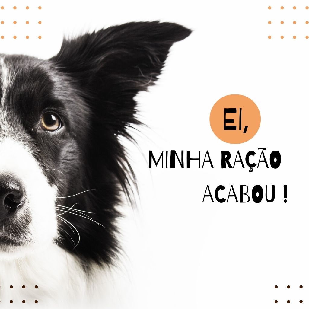 Pet Shop Bem Avaliado