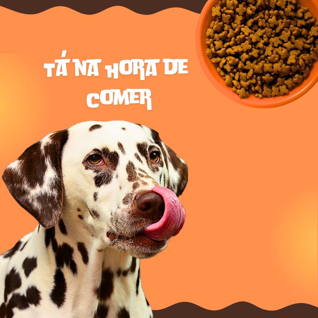 Pet Shop Bem Avaliado