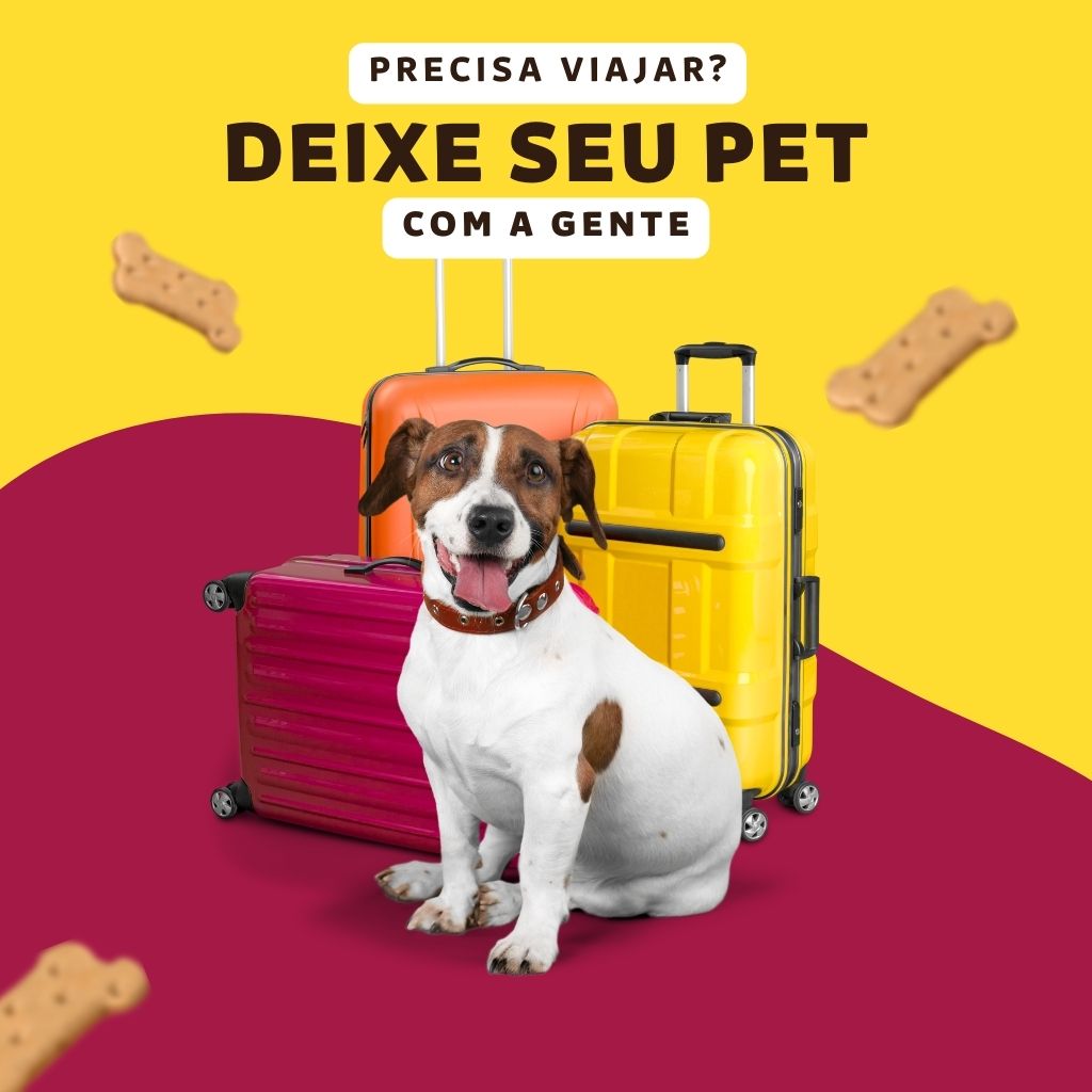 pet shop 24h