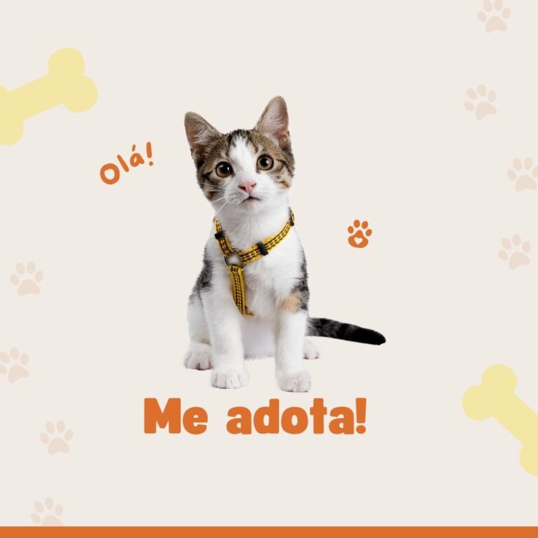 pets shop