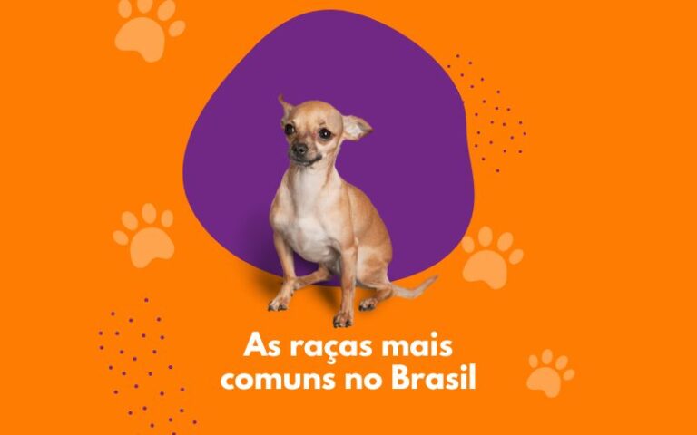 Pet Shop Bem Avaliado