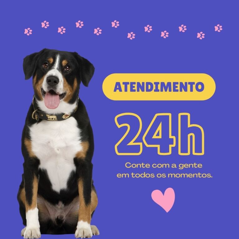 pet shop 24h