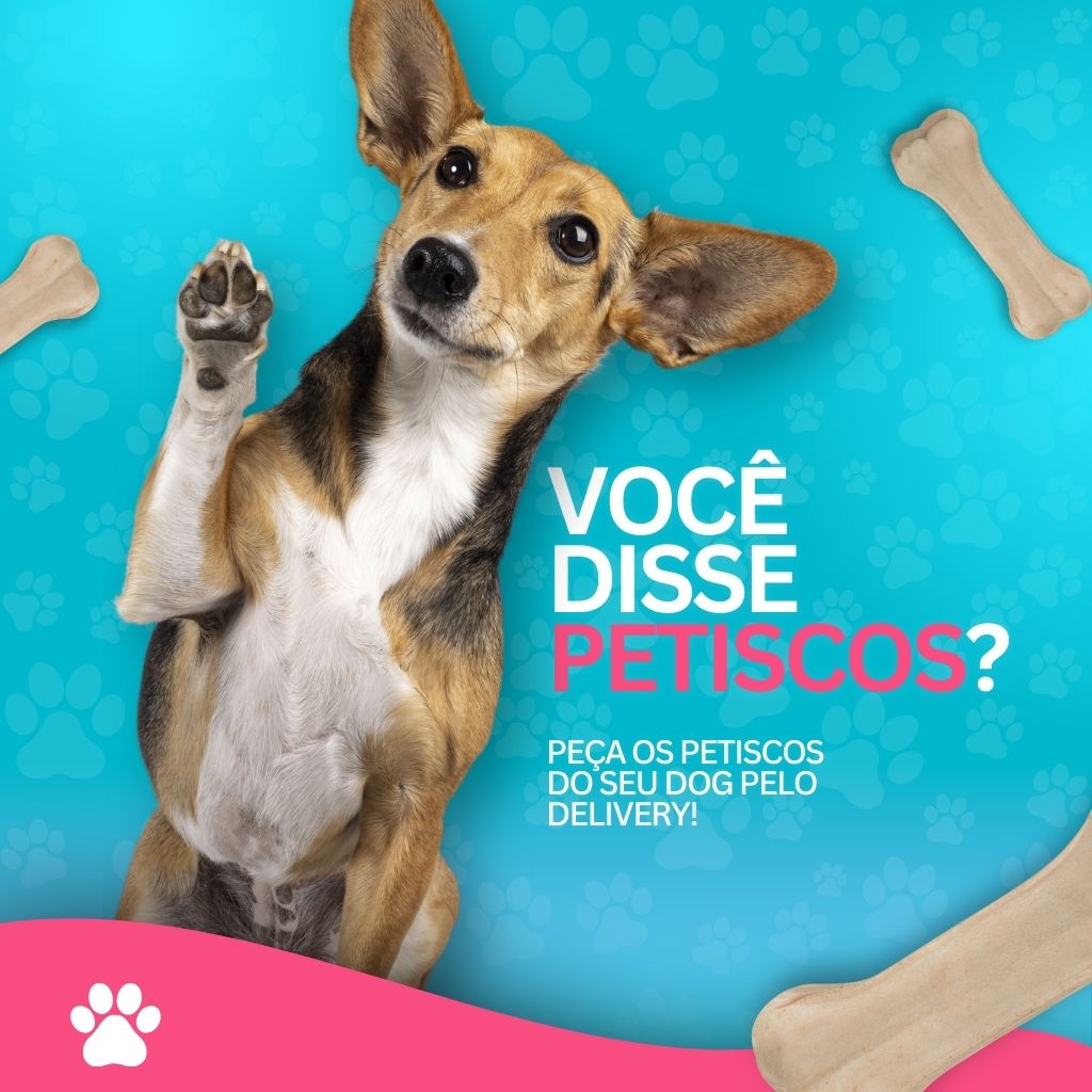 Pet store shop