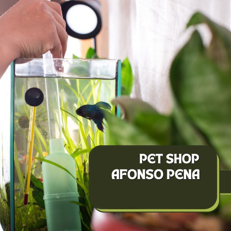 pet shop em campo grande ms