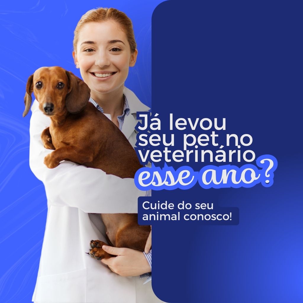 Pet shop 24 horas