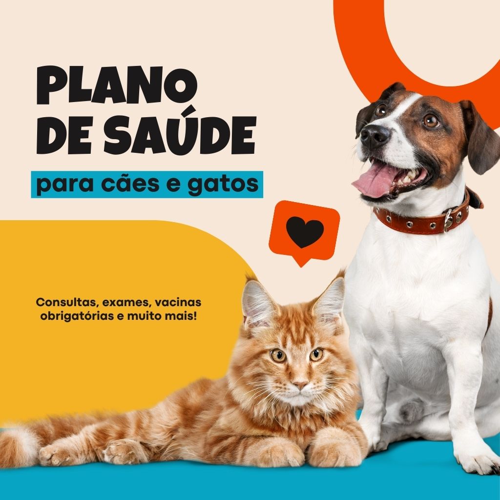 Pet shop 24 horas