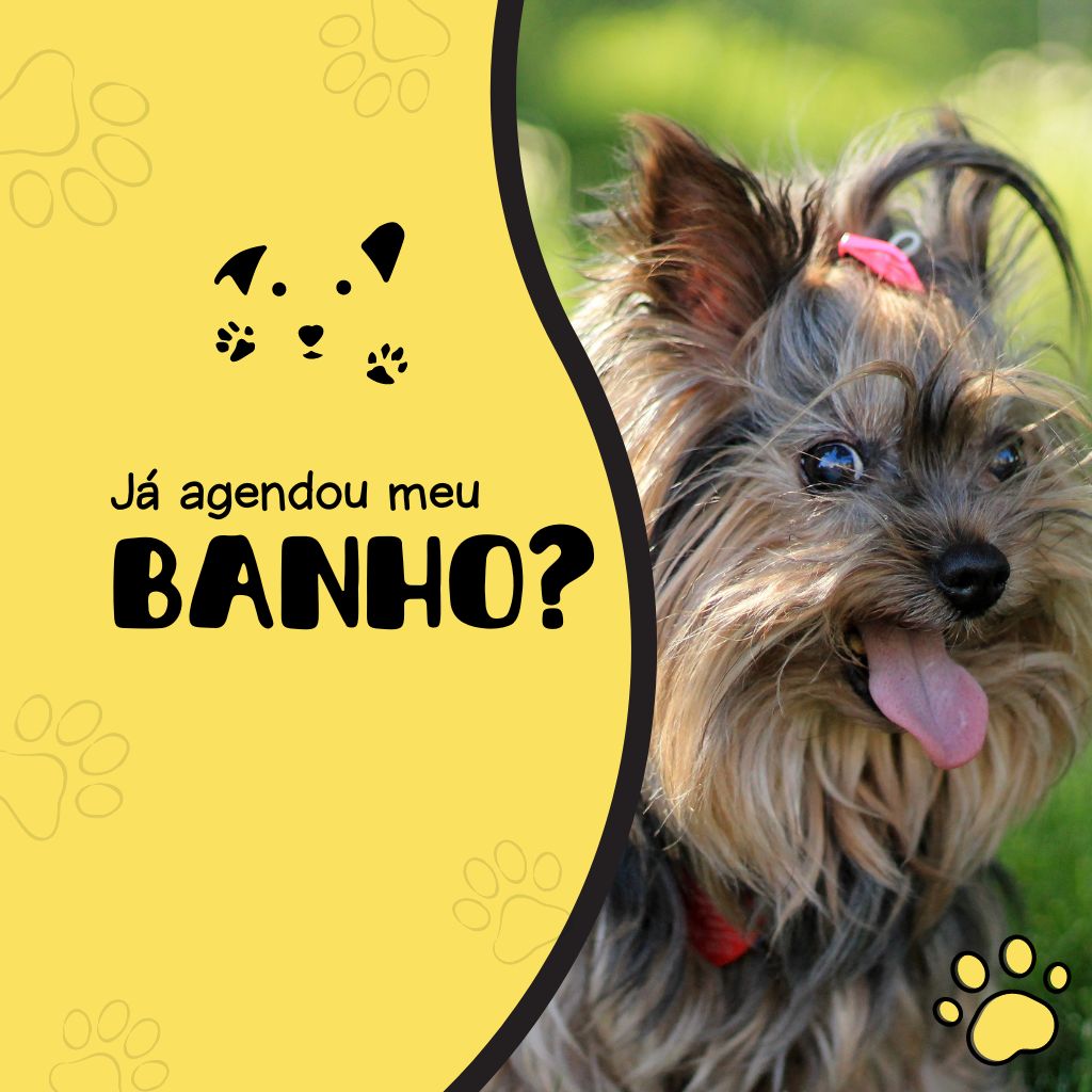 Pet Shop Banho e Tosa Perto de Mim
