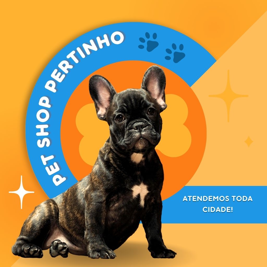 Pet Shop Banho e Tosa Perto de Mim