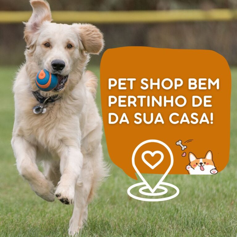 Pet Shop Banho e Tosa Perto de Mim