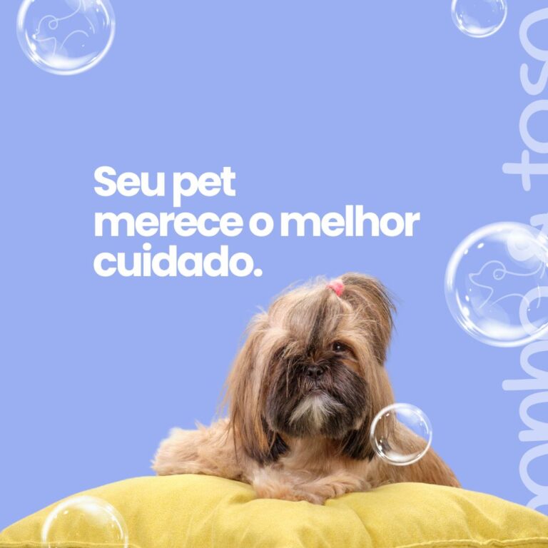 Pet shop banho
