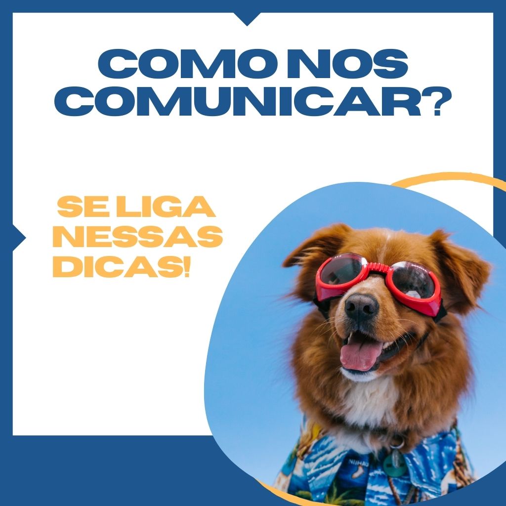 se comunicar com seu pet
