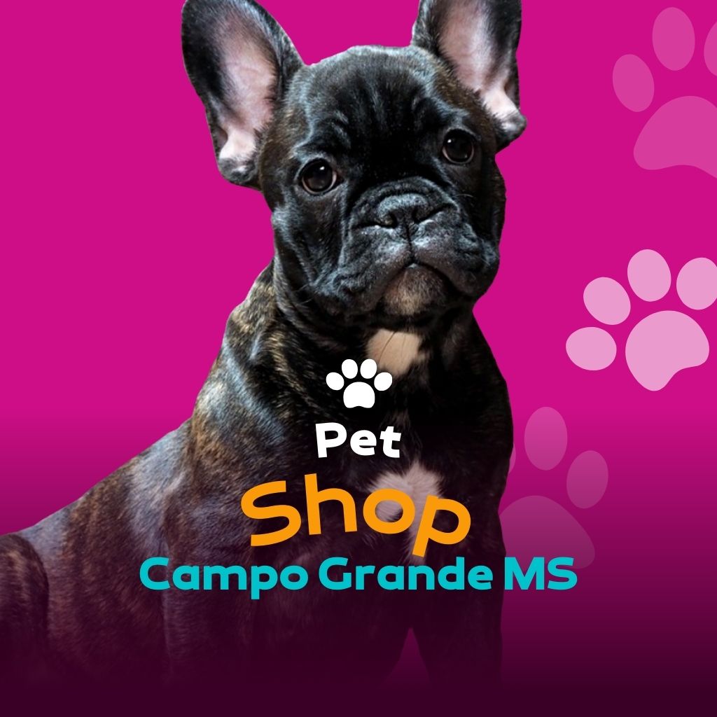 + Pet Shop