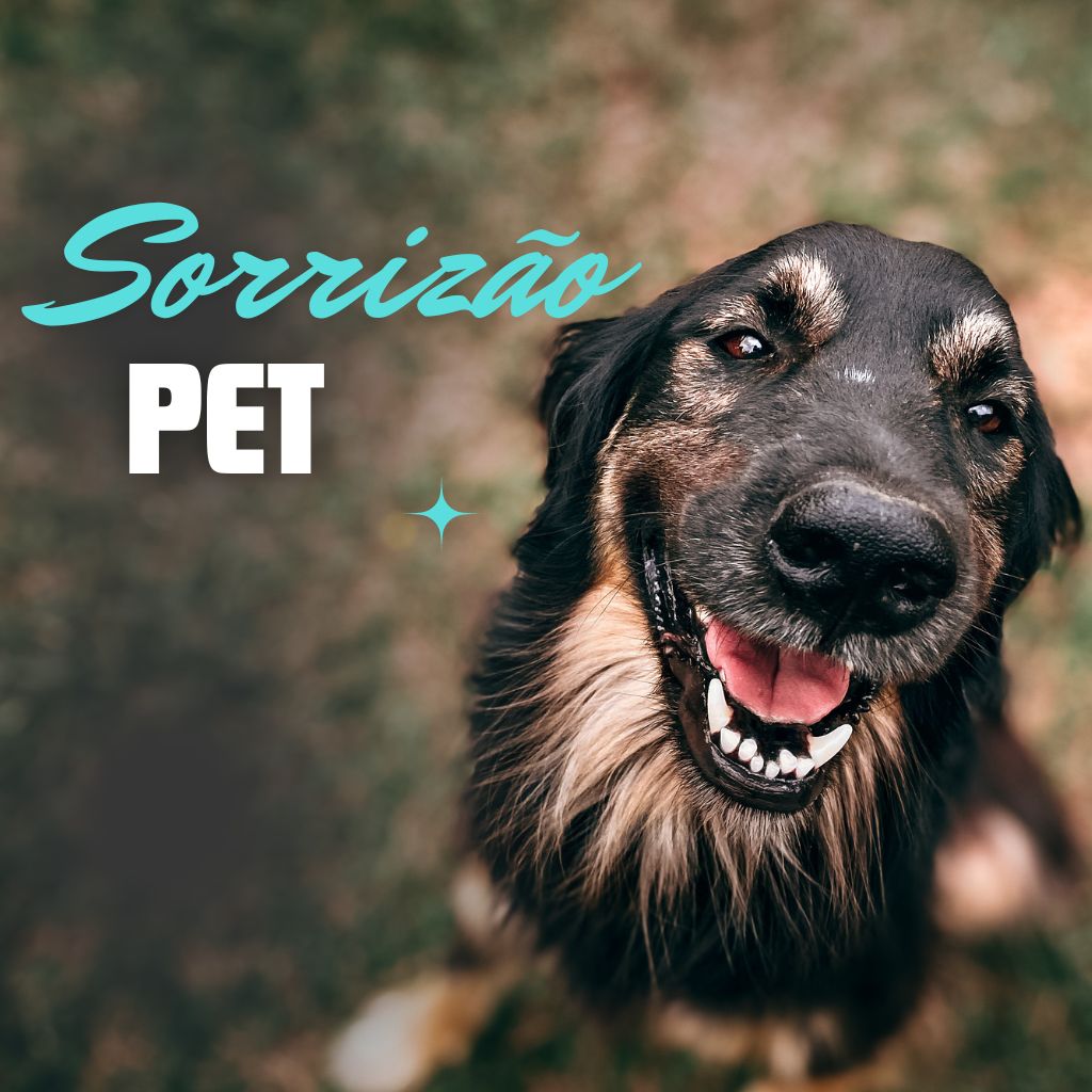 Sorrizão pet