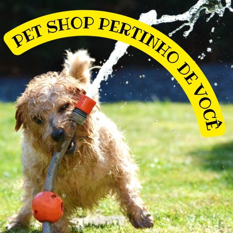 pet shop delivery perto de mim
