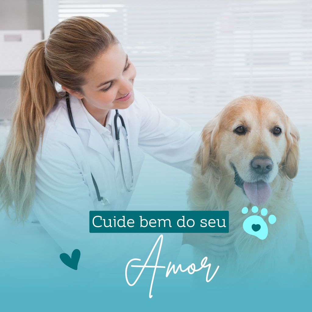 Pet shop perto de mim aberto agora