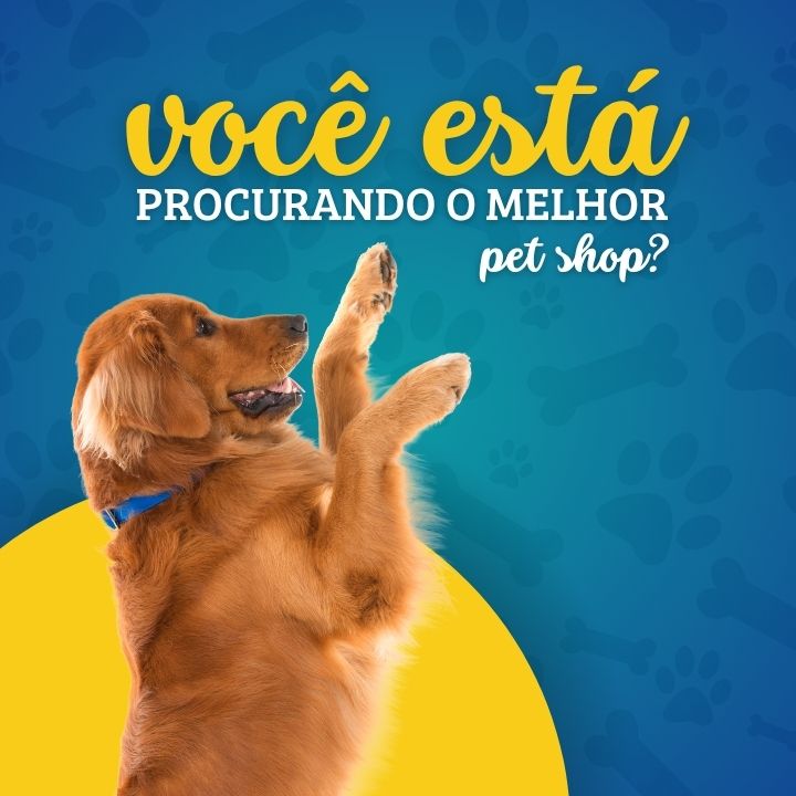 Pet shop perto de mim delivery