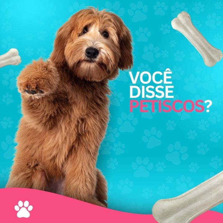 Pet shop perto de mim banho e tosa