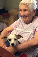 cachoro com a vovo
