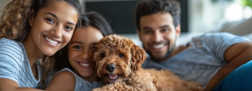 pet em cg