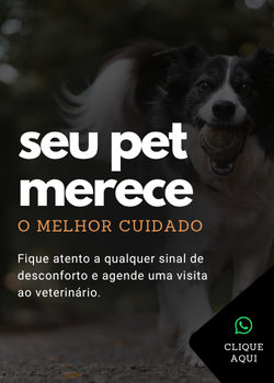 fale com a gente!!! (2)
